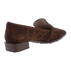 Hispanitas HI254262 TURIN bruin