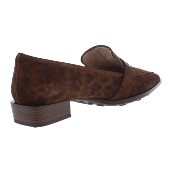 Hispanitas HI254262 TURIN bruin