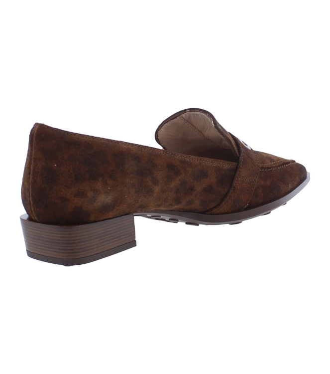 Hispanitas HI254262 TURIN bruin