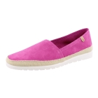 Verbenas Noa serraje fuchsia