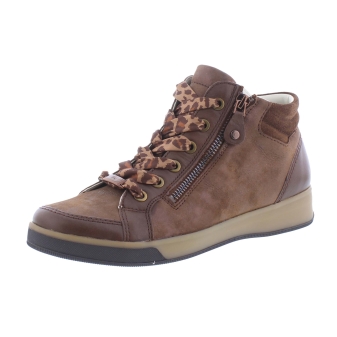 Ara 12-14499-03 bruin