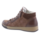 Ara 12-14499-03 bruin