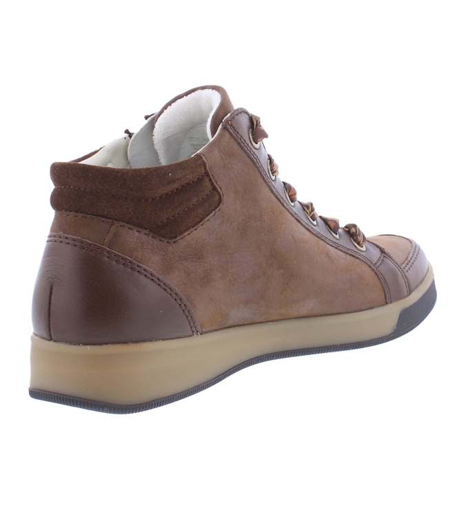 Ara 12-14499-03 bruin