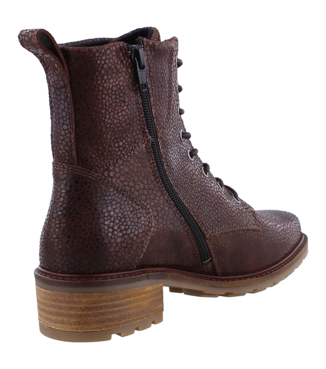 Solidus 61000 Kinga bruin
