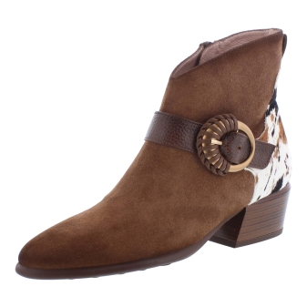 Hispanitas ZP1254256 bruin