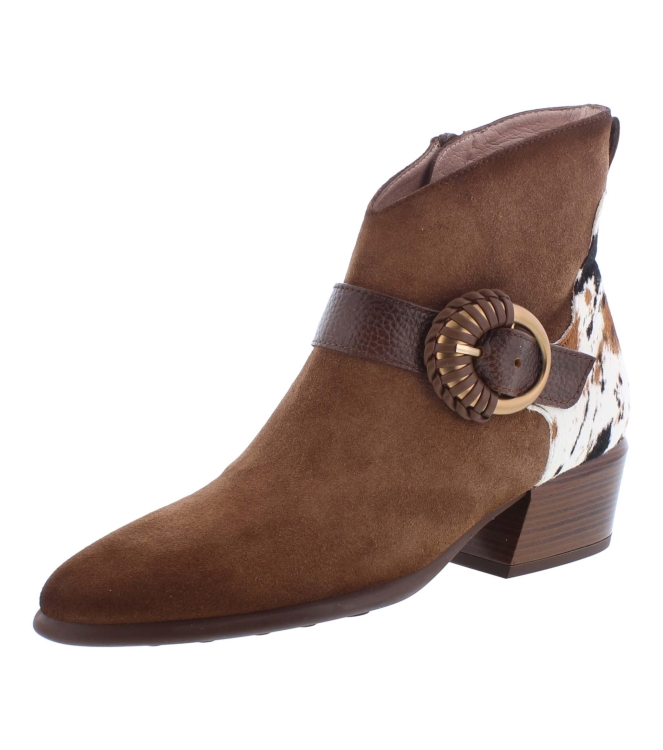 Hispanitas ZP1254256 bruin