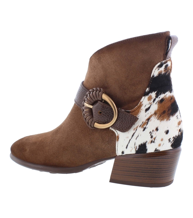 Hispanitas ZP1254256 bruin