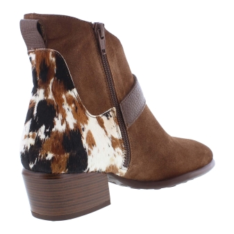 Hispanitas ZP1254256 bruin
