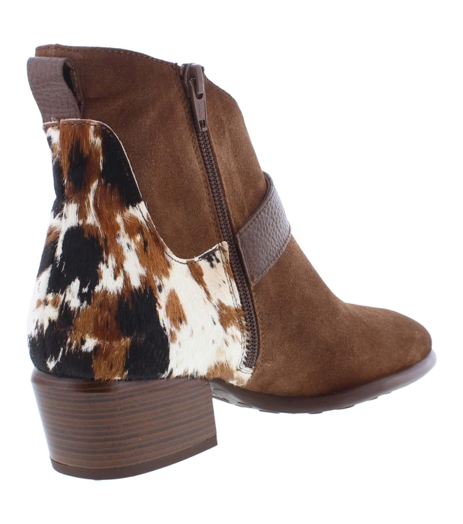 Hispanitas ZP1254256 bruin