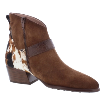 Hispanitas ZP1254256 bruin