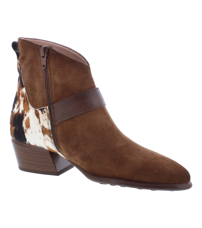 Hispanitas ZP1254256 bruin