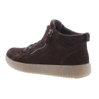 Ara 12-37908-03 bruin
