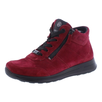 Ara 12-24808-87 rood