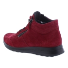 Ara 12-24808-87 rood