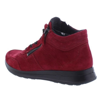 Ara 12-24808-87 rood