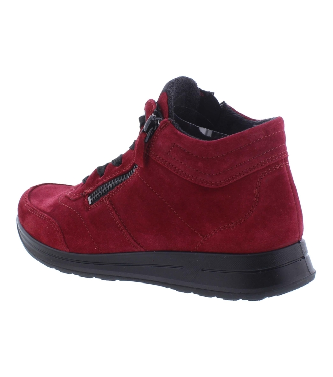 Ara 12-24808-87 rood