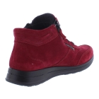 Ara 12-24808-87 rood