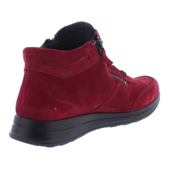 Ara 12-24808-87 rood