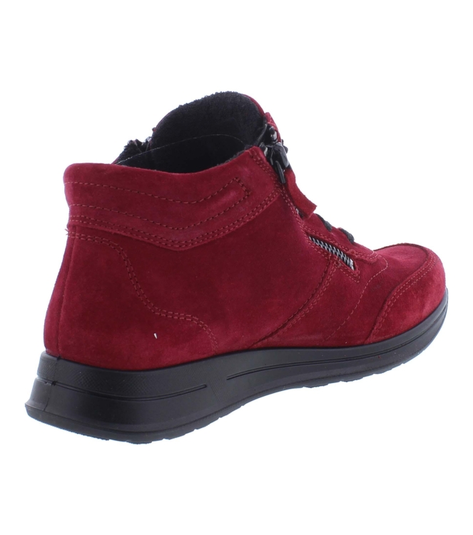 Ara 12-24808-87 rood