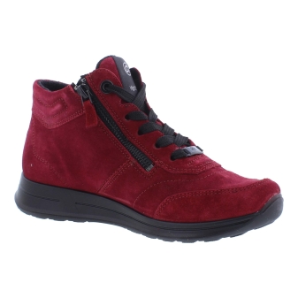 Ara 12-24808-87 rood