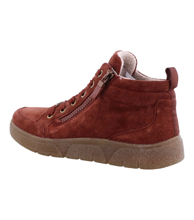 Ara 12-24453-92 rood