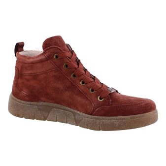 Ara 12-24453-92 rood