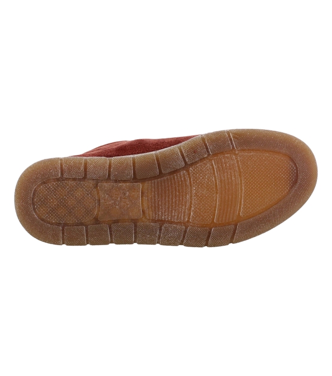 Ara 12-24453-92 rood