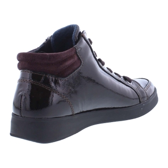 Ara 12-24499-97 bordo
