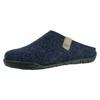 Rohde 6650 blauw