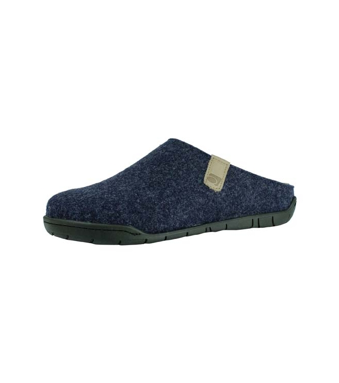 Rohde 6650 blauw