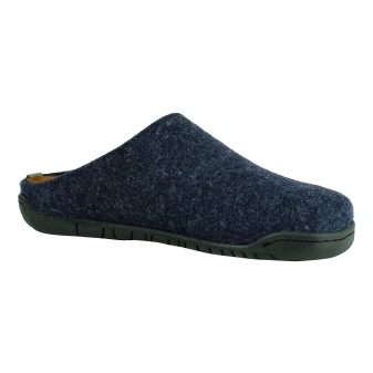 Rohde 6650 blauw