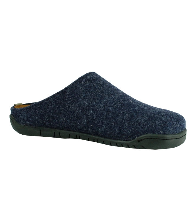 Rohde 6650 blauw