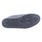Fischer 2613 antrasiet