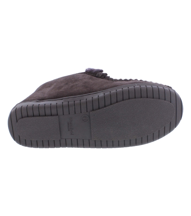 Warmbat DWO441065 Darwino bruin
