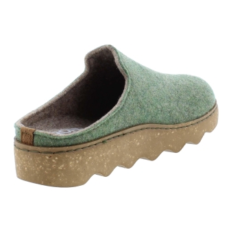 Rohde 6120 groen
